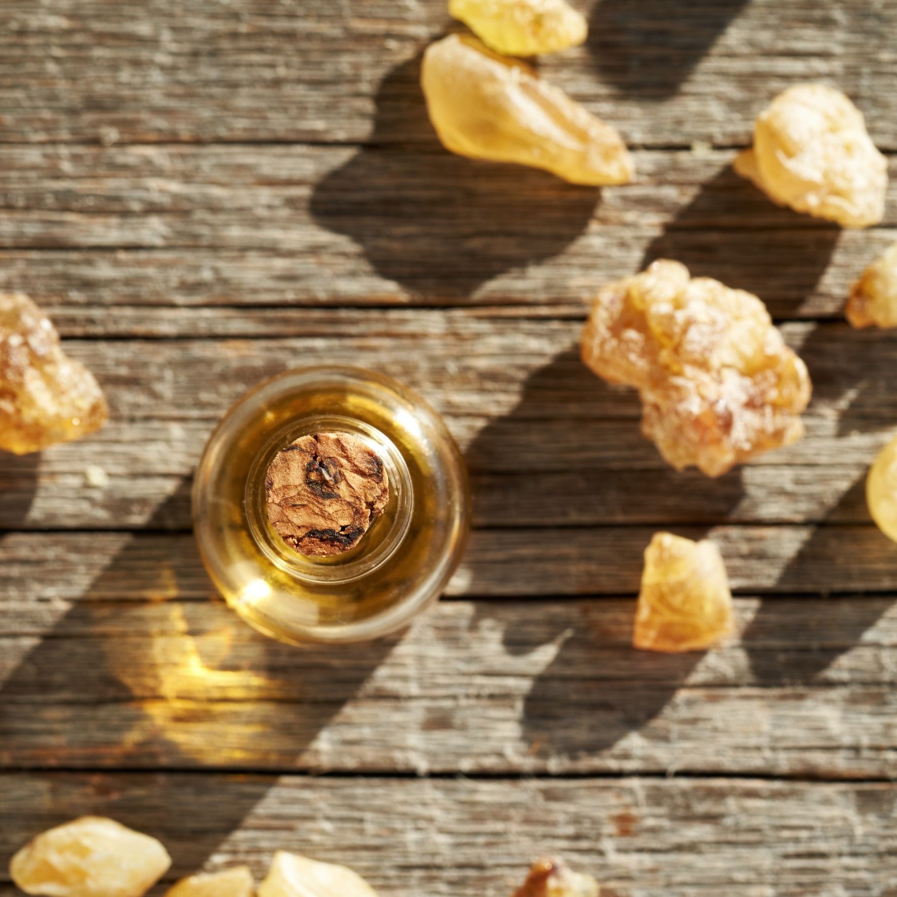 Estratto CO2 di Incenso Boswellia Carterii, materia prima per cosmesi professionale e aromaterapia, Sikania