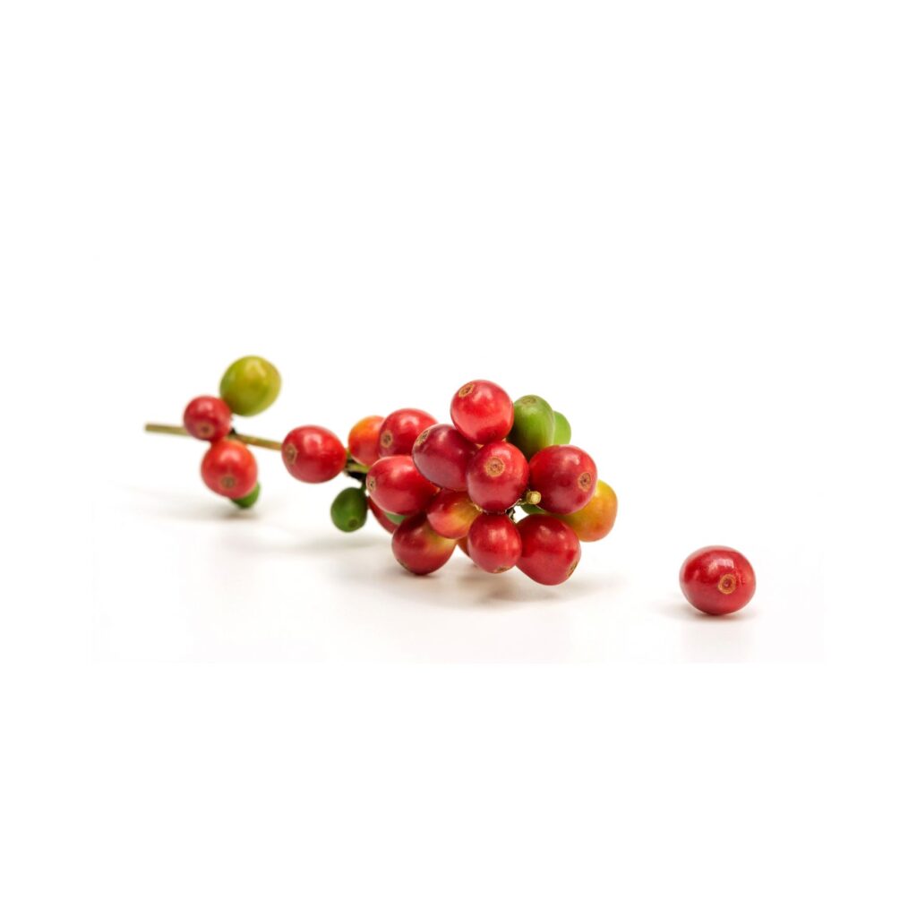 Caffeina Pura USP