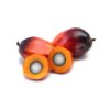 Olio di Palma Raffinato RSPO