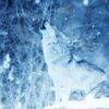 Winter is Coming Fragranza