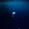 Il Cuore dell'Oceano Mica